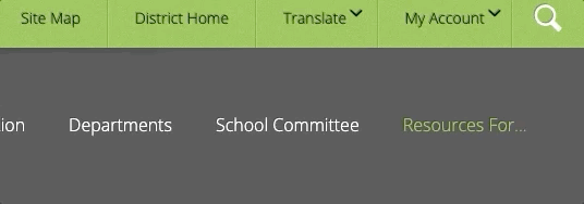 How to translate website content 